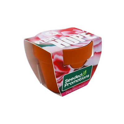Mini Terracotta Grow Kit - Plant Hope